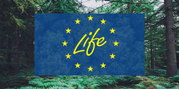 Програма ЄС "LIFE" ратифікована в Україні.