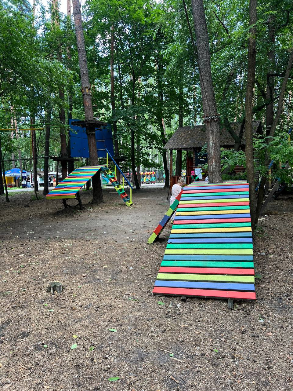 Arrangement of a children's sports and entertainment park on the territory of Sovky Park in Sviatoshynskyi district