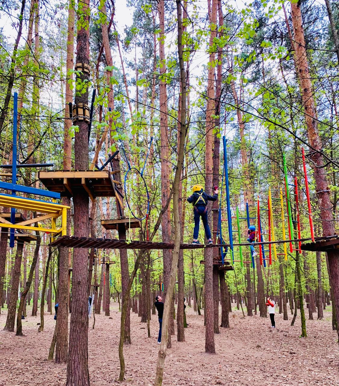 Arrangement of a children's sports and entertainment park on the territory of Sovky Park in Sviatoshynskyi district