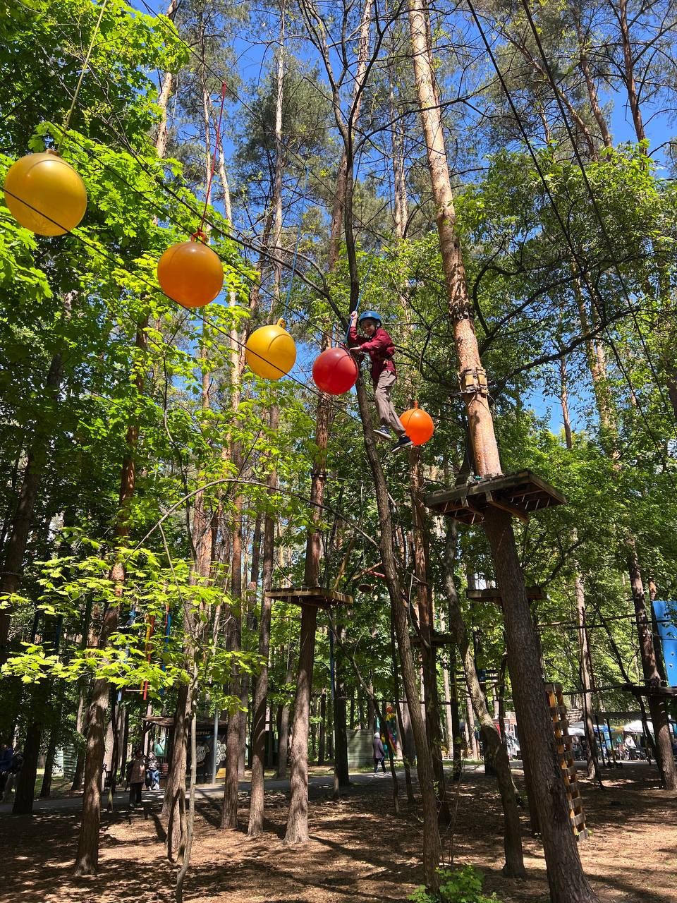 Arrangement of a children's sports and entertainment park on the territory of Sovky Park in Sviatoshynskyi district