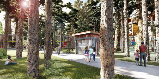 Active recreation area and rope park will be arranged in Holosiivsky park